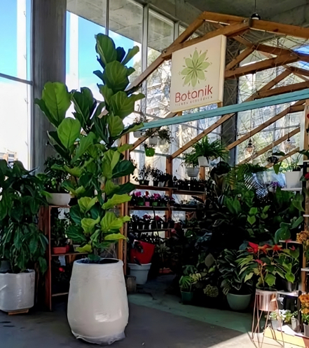 jardinerias en bogota